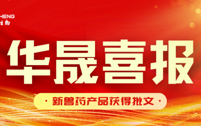 喜报 | 华晟生物新兽药产品获得批准文号